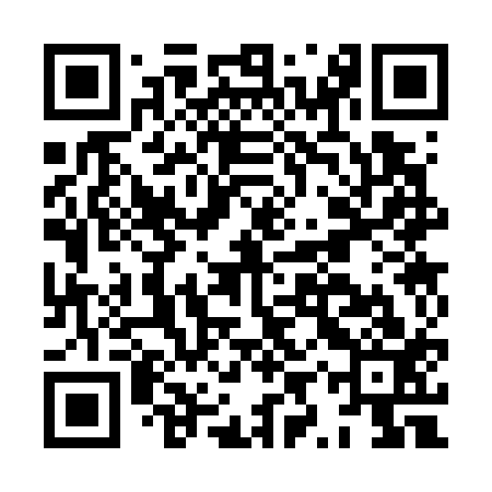 QR code for HYS713