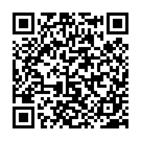 QR code for HYV407