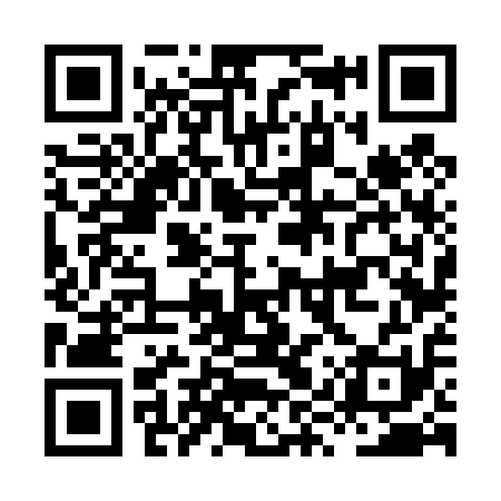QR code for HYV411
