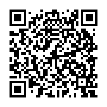 QR code for HYX295