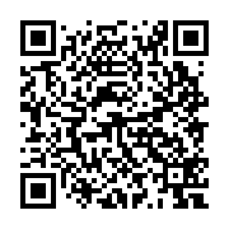 QR code for HYX319