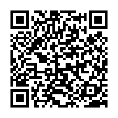 QR code for HYY409