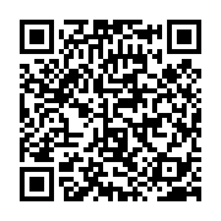 QR code for HYY439