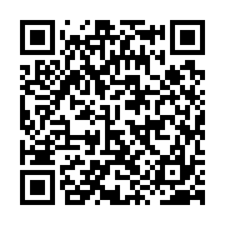 QR code for HYY737