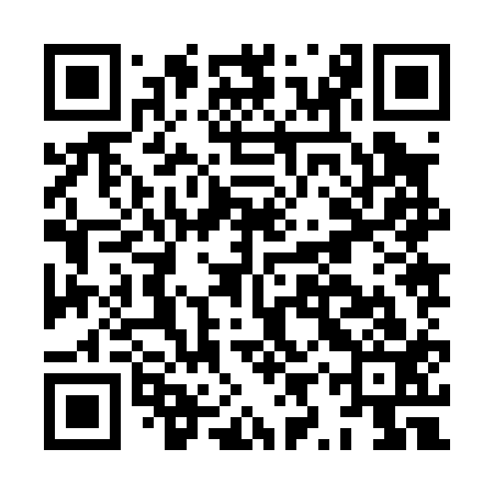QR code for HYZ013