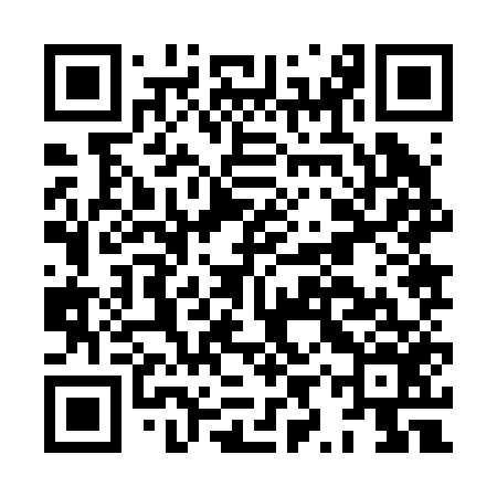 QR code for HYZ256