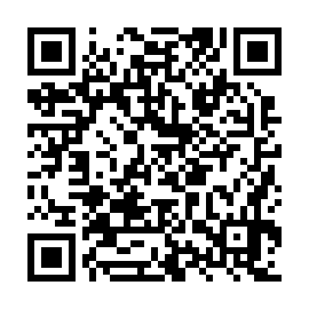 QR code for HYZ274