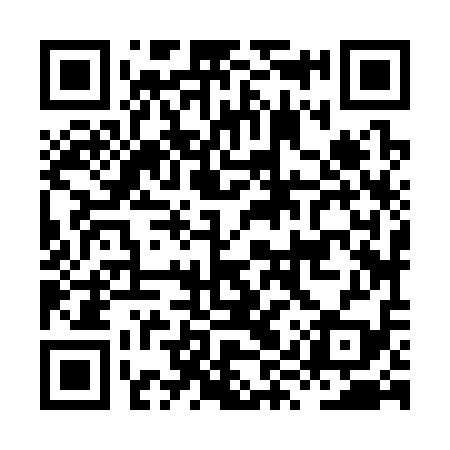 QR code for HYZ319