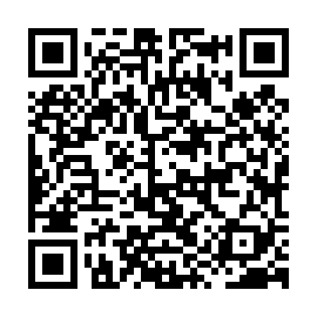 QR code for HYZ429