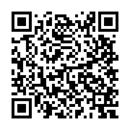 QR code for HYZ501