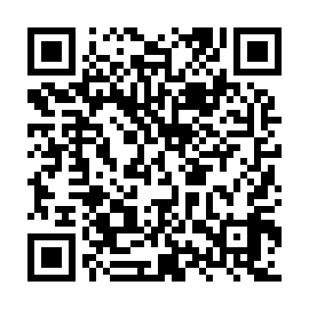 QR code for HYZ919
