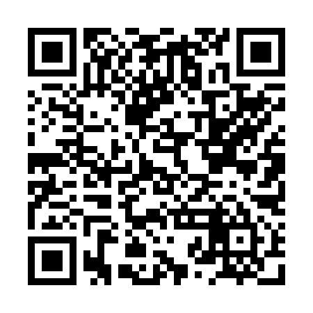 QR code for HZD295