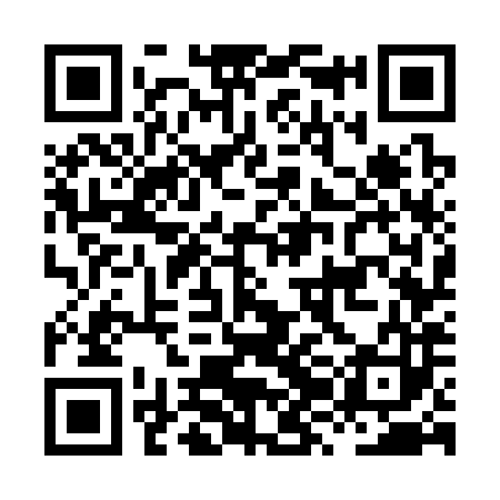 QR code for HZG383