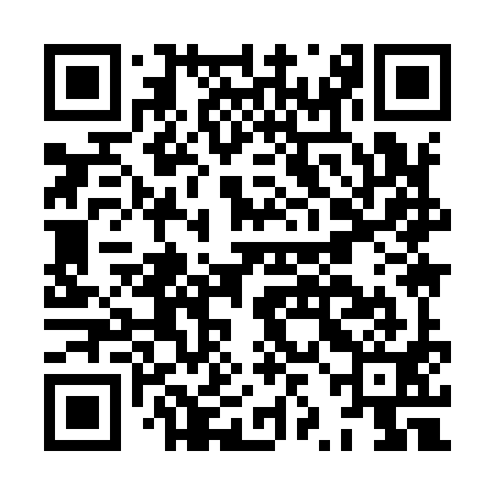 QR code for HZI991