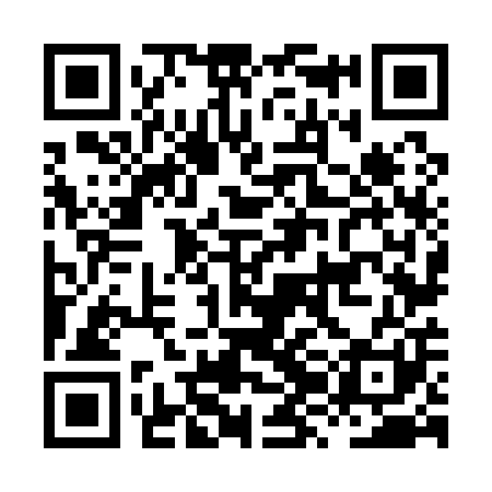 QR code for HZN101