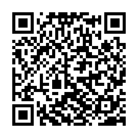 QR code for HZN335