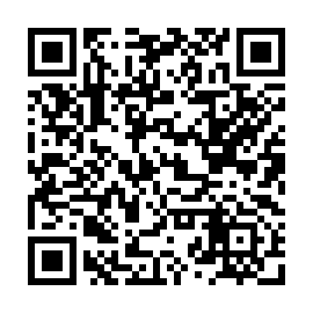QR code for HZX393