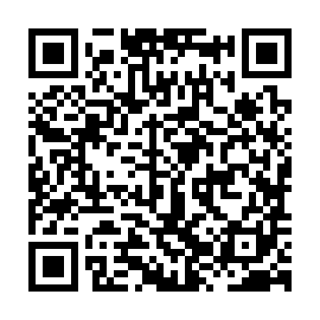 QR code for HZZ381