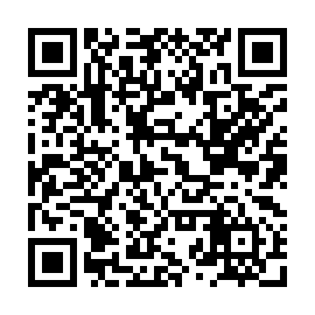 QR code for HZZ994