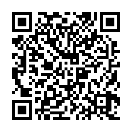 QR code for IAA228