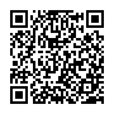 QR code for IAE382