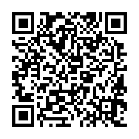 QR code for IAE395