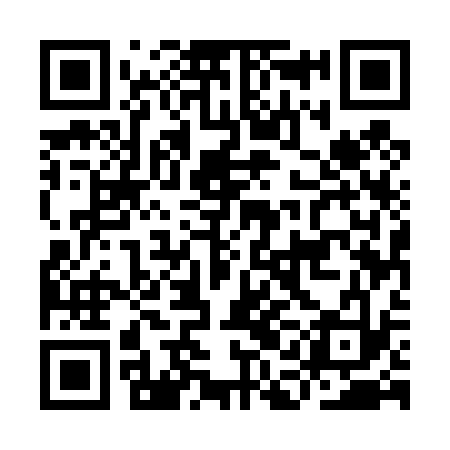 QR code for IAE433