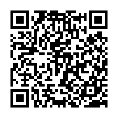QR code for IAE607