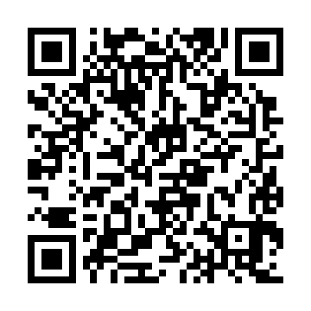 QR code for IAF383