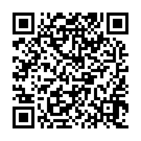 QR code for IAN916