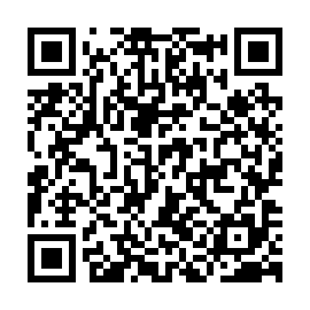 QR code for IAO295
