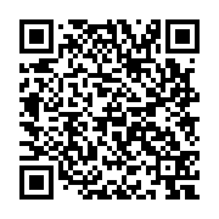 QR code for IAP133