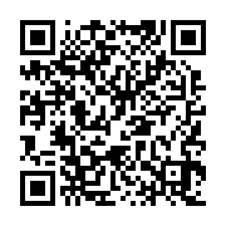 QR code for IAT233