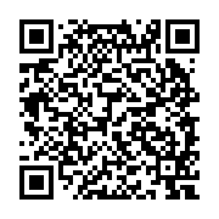 QR code for IAT295