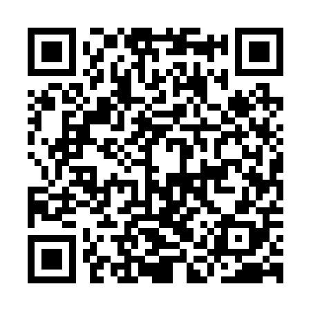 QR code for IAU208