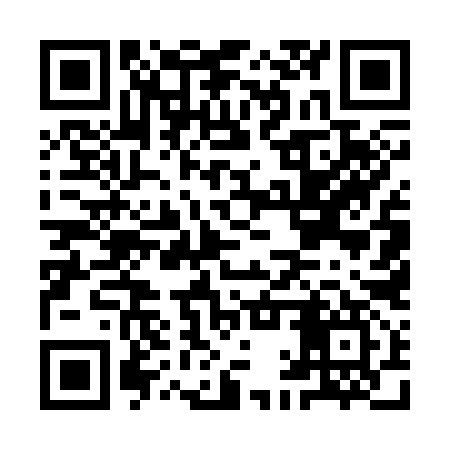 QR code for IAU397