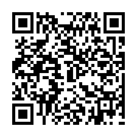 QR code for IAV173
