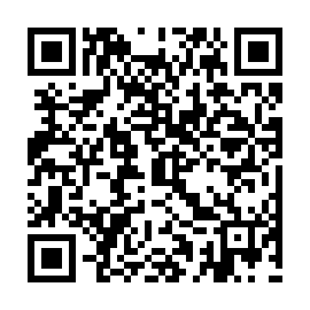QR code for IAV246