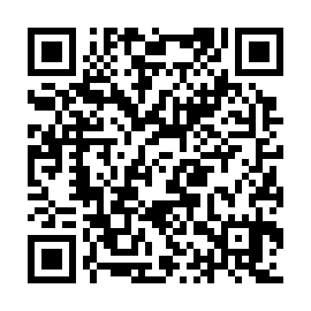 QR code for IAV335