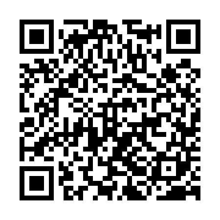 QR code for IBF541