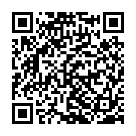 QR code for IBG233