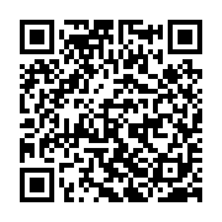 QR code for IBG291