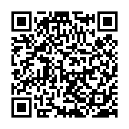 QR code for IBG411