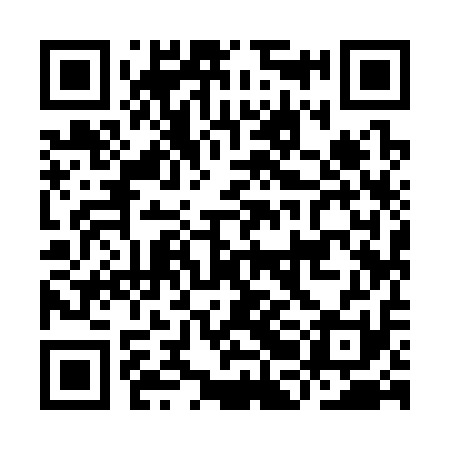 QR code for IBI311