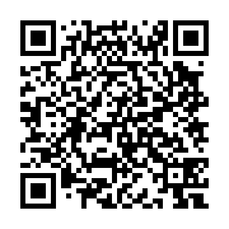 QR code for IBJ038