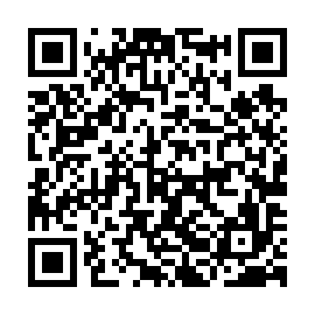 QR code for IBL696