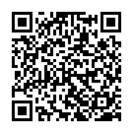 QR code for IBM335