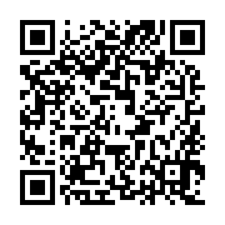 QR code for IBN994