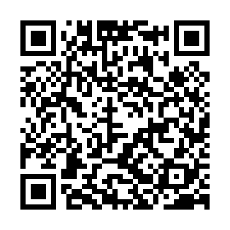 QR code for IBV028