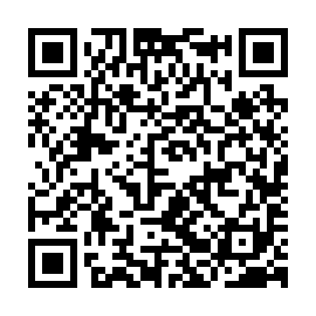 QR code for IBV291